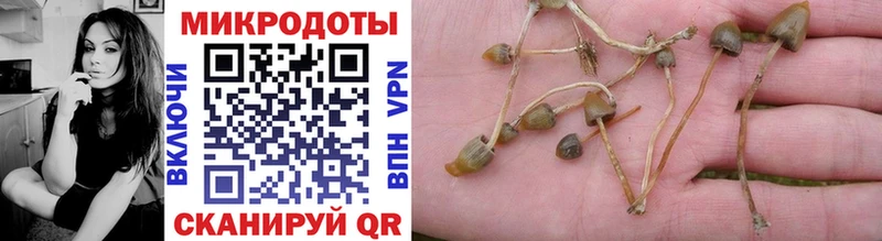 Галлюциногенные грибы Cubensis Красноперекопск